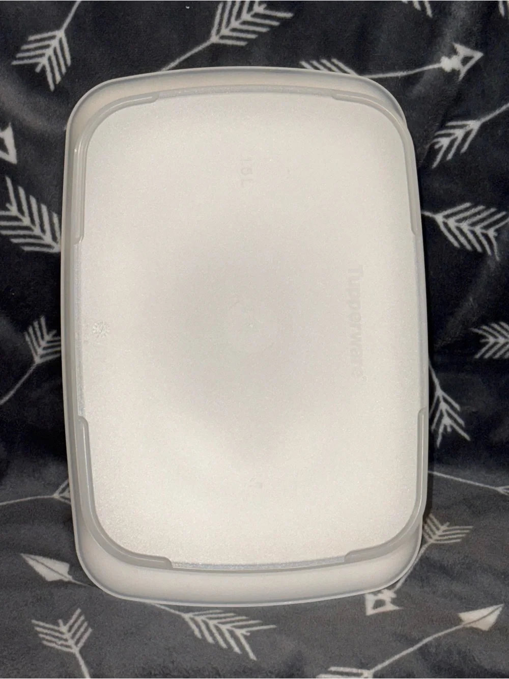Tupperware CheeseKeeper Like New!